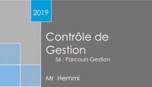 cours de controle de gestion en pdf