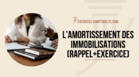 amortissement des immobilisation