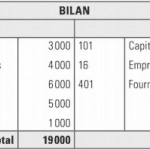 bilan simplifie