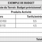 budget prévisionnel