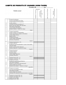 compte de produits et de charges cpc