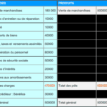 finalité de l'entreprise