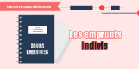 Les emprunts indivis