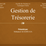 cours de gestion de trésorerie pdf