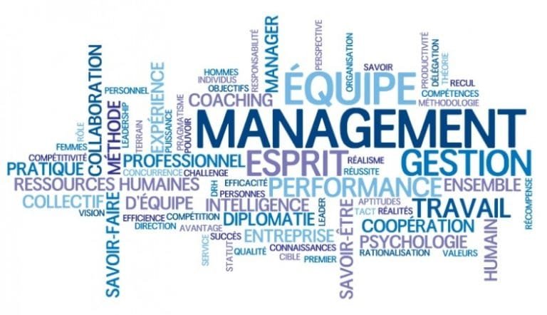 définition et principes du management