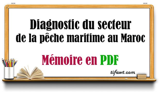 Diagnostic du secteur de la pêche maritime au Maroc