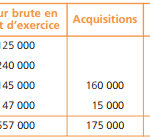 tableau-immobilisations