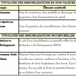 typologie-immobilisation-non-valeurs